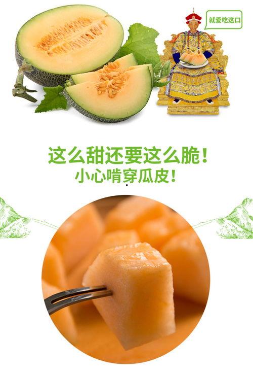 免费吃瓜官网推荐,盘点热门瓜田,带你畅游娱乐盛宴