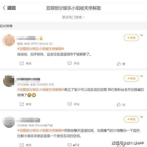 _豆瓣吃瓜小组整理网红,网红圈层众生相