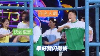 吃瓜网大本营官网喵小吉,吃瓜网大本营的萌宠担当