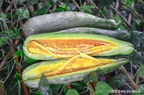 网红瓜都是在哪吃的,揭秘瓜果美食的聚集地