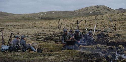 网红吃瓜长征路,揭秘娱乐圈幕后真相