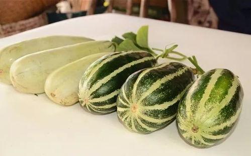 靠吃瓜红的网红,揭秘靠吃瓜走红的网红传奇