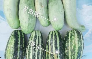 昆明某网红吃瓜,揭秘幕后真相与网友热议